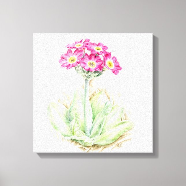 Impressão de plástico de canvas rosa-primula (Frente)