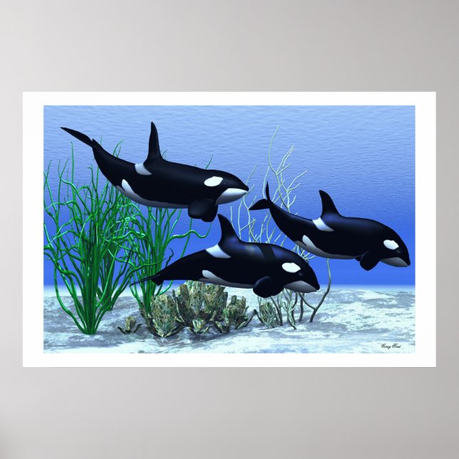 IMPRESSÃO de POD (Frente)