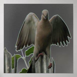 Impressão de Pombo Anjo Caído