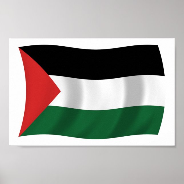 Impressão de Poster da Bandeira da Autoridade Pale (Frente)