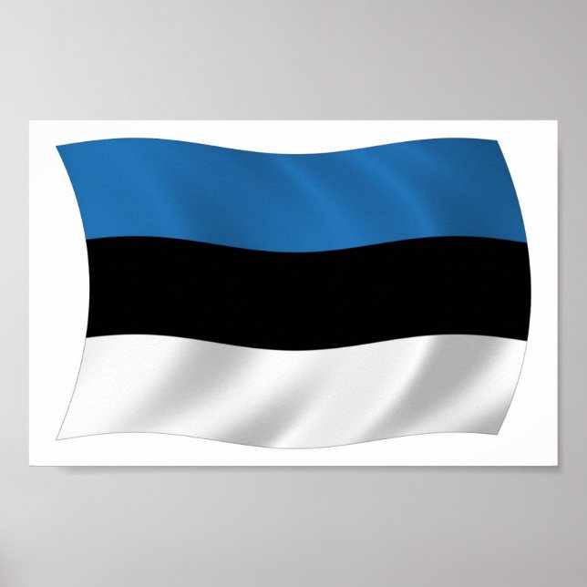 Impressão de Poster da Bandeira da Estônia (Frente)