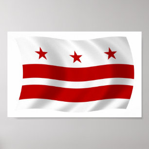 Impressão de Poster da Bandeira de Washington D.C.