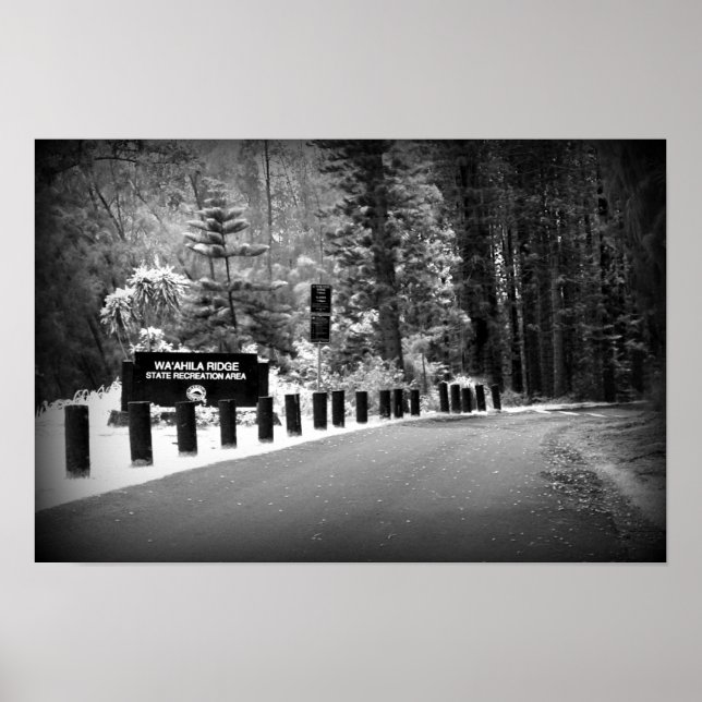 impressão de Poster de 12" x 18" - Wa'ahila Ridge (Frente)