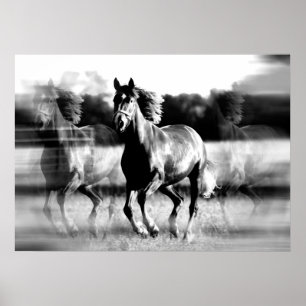 Impressão de Poster de Cavalo em Execução - Poster