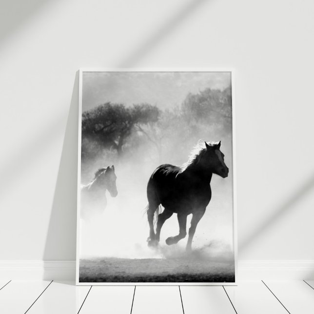 Impressão de Poster de Cavalo Negro e Branco (Black and White Horse Poster Print in a white frame.)