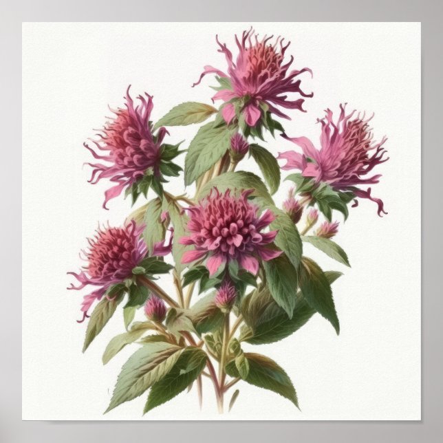 Impressão de Poster de Flor de Abelhas Rosa (Frente)
