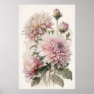 Impressão de Poster de Flor Rosa Dahlias