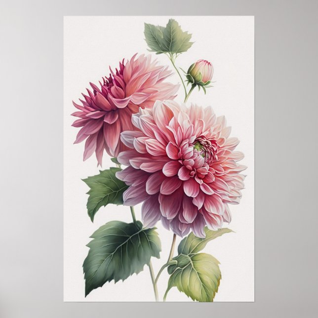 Impressão de Poster de Flor Rosa Dahlias (Frente)