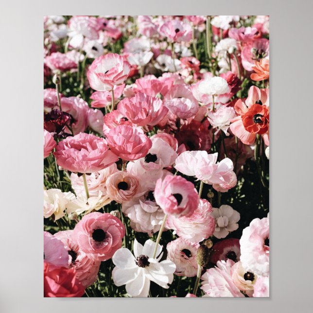 Impressão de pôster de flor rosa e branca (Frente)