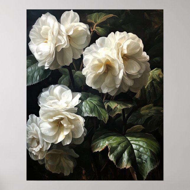 Impressão de Poster de Flores Brancas da Begonia (Frente)