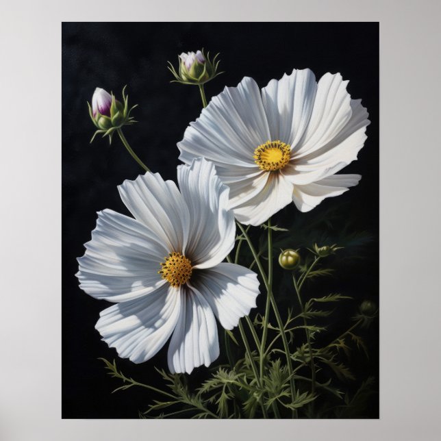 Impressão de Poster de flores brancas do Cosmos (Frente)