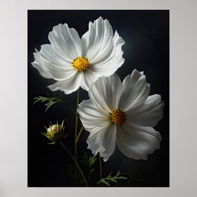 Impressão de Poster de flores brancas do Cosmos (Frente)