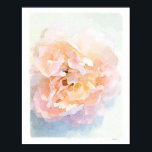 Impressão de poster de Peony Rosa-Cor-de-Água<br><div class="desc">Este impressão de poster de arte é de uma aquarela digital de uma pénia rosa. Escolha entre uma variedade de papéis e tamanhos.</div>