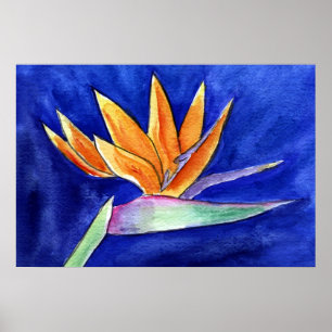 Impressão de Poster de pintura de vidraça paraí
