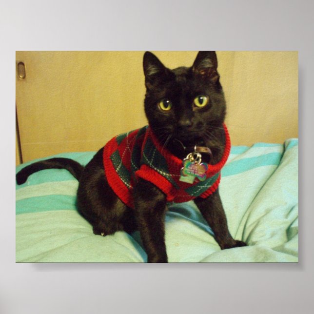 Impressão de Poster de Seimei bonito (Frente)