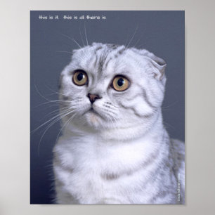 Impressão de Poster de Solitário de de Pets de Tri