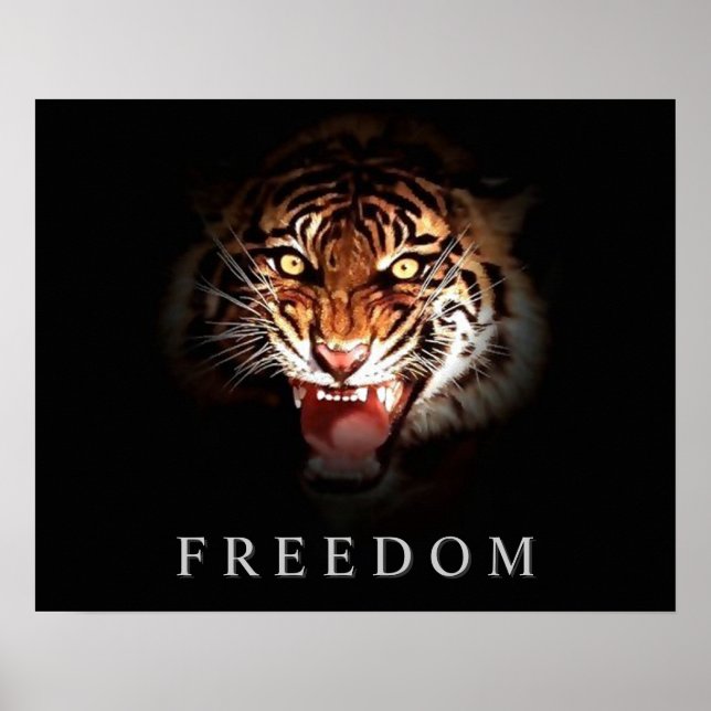 Impressão de Poster de Tigre para a Liberdade Moti (Frente)