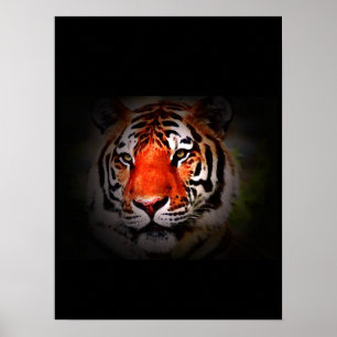 Impressão de Poster de Tigre - Posters de Tigres d