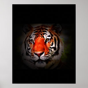 Impressão de Poster de Tigre - Posters de Tigres d