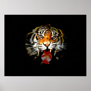 Impressão de Poster de Tigre - Posters de Tigres d