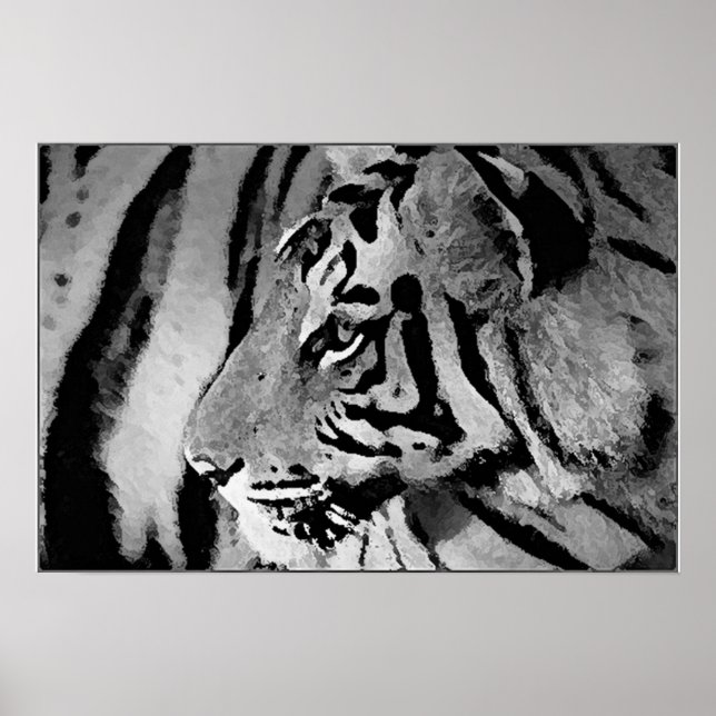 Impressão de Poster de Tigre Preto e Branco (Frente)