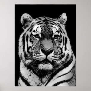 Impressão de Poster de Tigre Preto e Branco - Esti