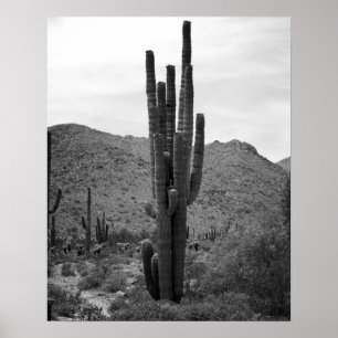 Impressão de Poster do Deserto Branco e Preto Cac