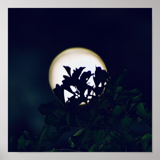 Impressão de Poster para fotografia de lua cheia (Frente)