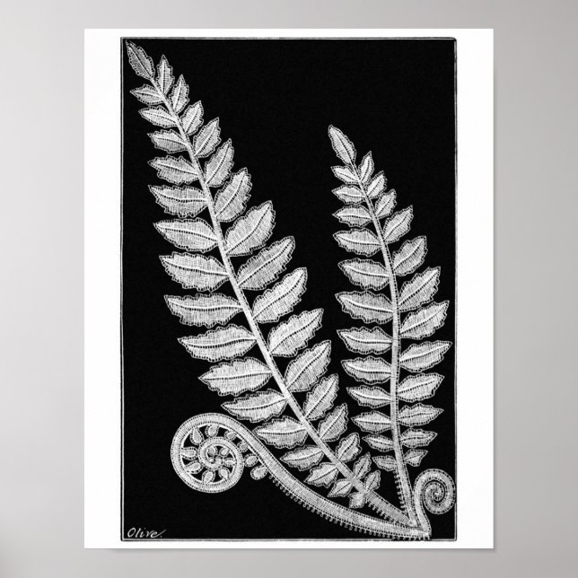 Impressão de Poster vintage de Arte de  de rendas  (Frente)