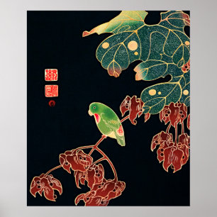 Impressão de Poster Vintage de Pássaro Paroquet Ja