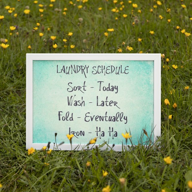 Impressão de Programação de Dissecação (Funny laundry schedule poster print wall art)