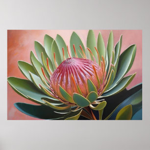 Impressão de Proteas Vibrante