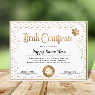 Impressão de Puppy Birds Certificate Paw
