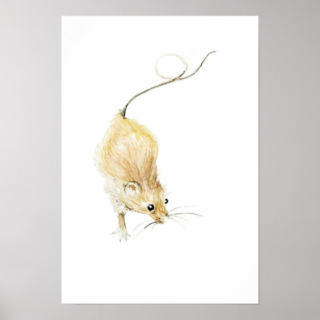 Impressão de Rato Curioso (Frente)