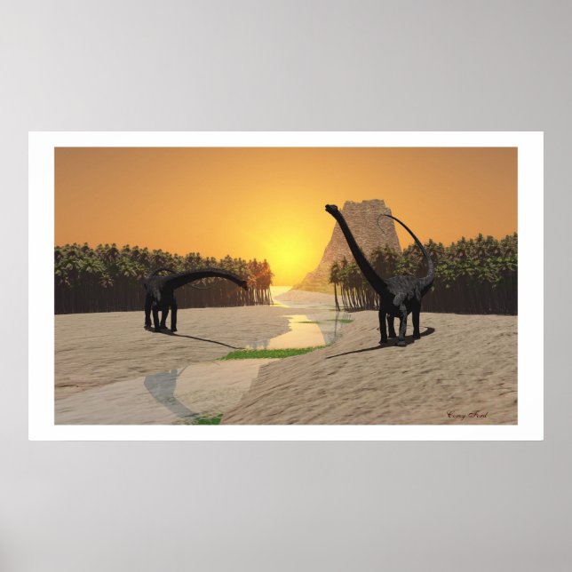 IMPRESSÃO DE RIO PREHISTÓRICO (Frente)