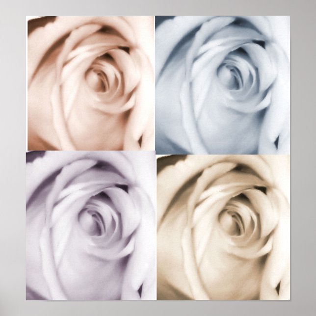impressão de rosa 4 (Frente)