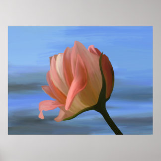 Impressão de Rosa de pêssego