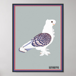 Impressão de Satinette