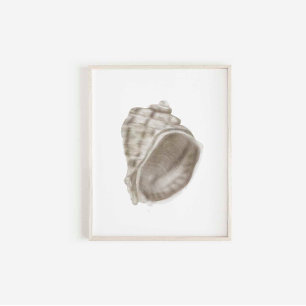 impressão de seashell de decor de verão