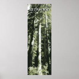 Impressão de Sequoia, Poster de Parque Nacional, 1