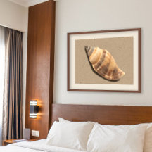 Impressão de Shell de Conch Strike Brown e Tan