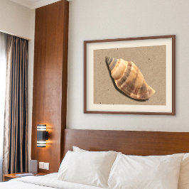 Impressão de Shell de Conch Strike Brown e Tan