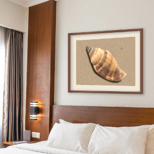 Impressão de Shell de Conch Strike Brown e Tan