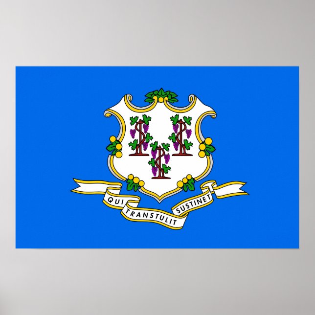 Impressão de tela com Sinalizador de Connecticut,  (Frente)