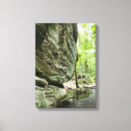 Impressão de tela da natureza real | Decoração de 