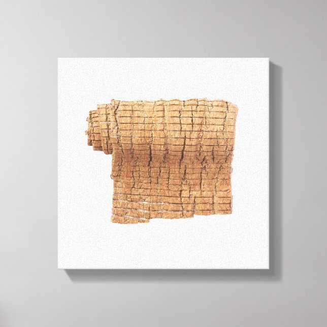 Impressão de tela de desenho Du Zhong (Frente)