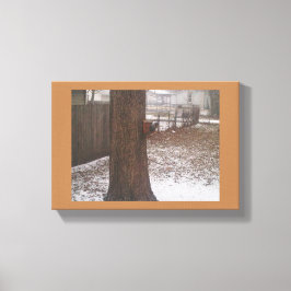 Impressão de Tela de Esquilo