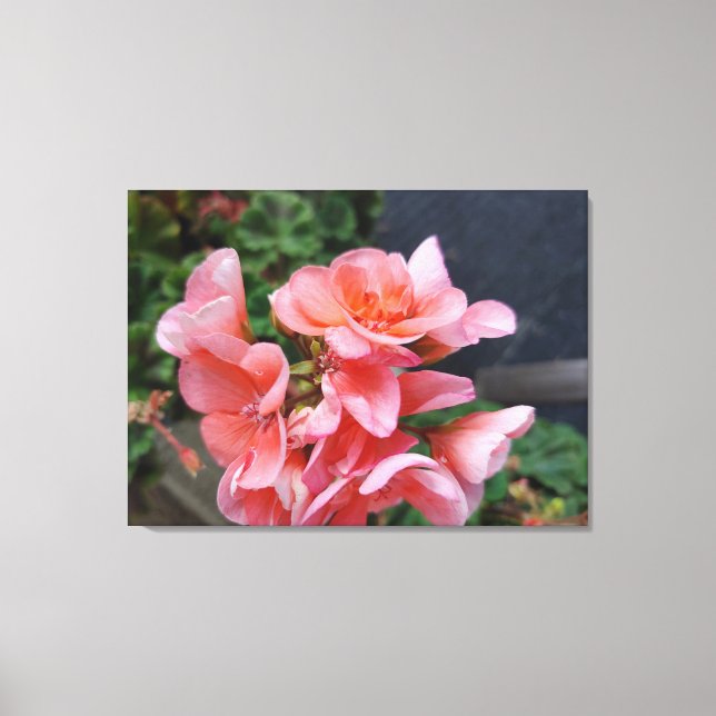 Impressão de tela de flor Geranium Garden (Frente)