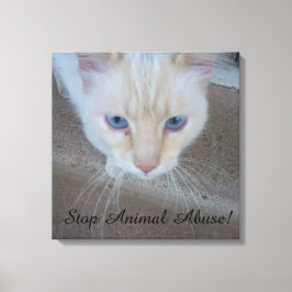 Impressão de tela de gato