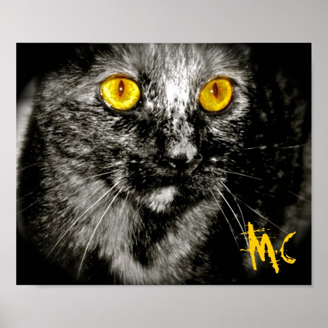 Impressão de tela de gato macaco de edição limitad (Frente)